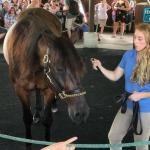 2019_OTRA_0575 (September 01, 2019)